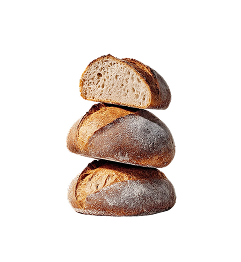 Bread
